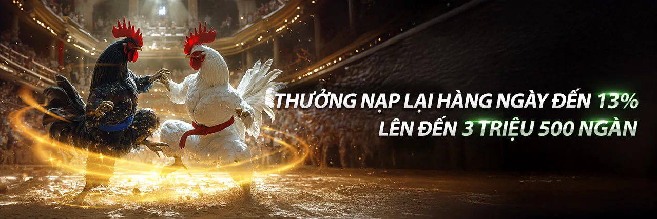 Đấu trường đá gà trực tuyến sôi động tại OXBET Code